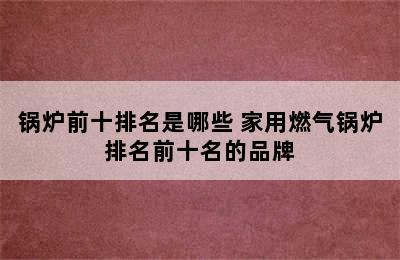 锅炉前十排名是哪些 家用燃气锅炉排名前十名的品牌